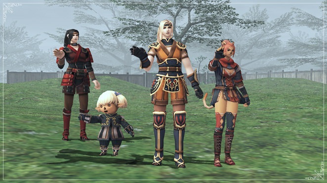 『FF11』プレイ画面